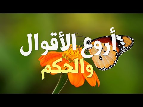 أروع أقوال وحكم قداسة البابا فرنسيس