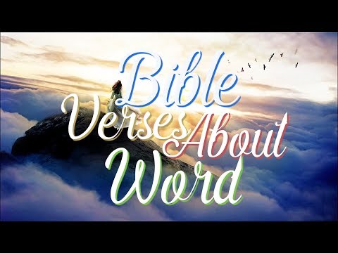 Bible Verses about the Word of God What Does the Bible Say?