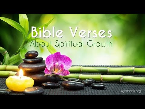 Bible Verses about Spiritual Growth What Does the Bible Say?