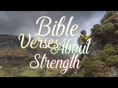 Bible Verses about Strength What Does the Bible Say?