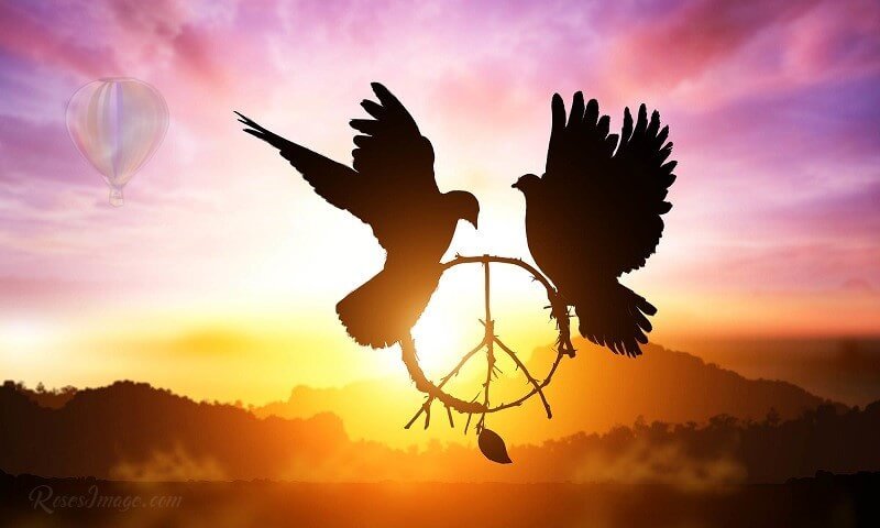 From Where Comes the Peace and How We Achieve it?