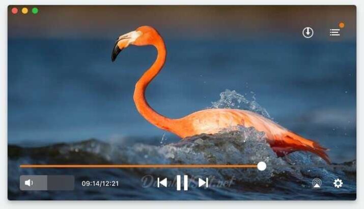 Elmedia Player Descargar Gratis 2025 para Windows y Mac